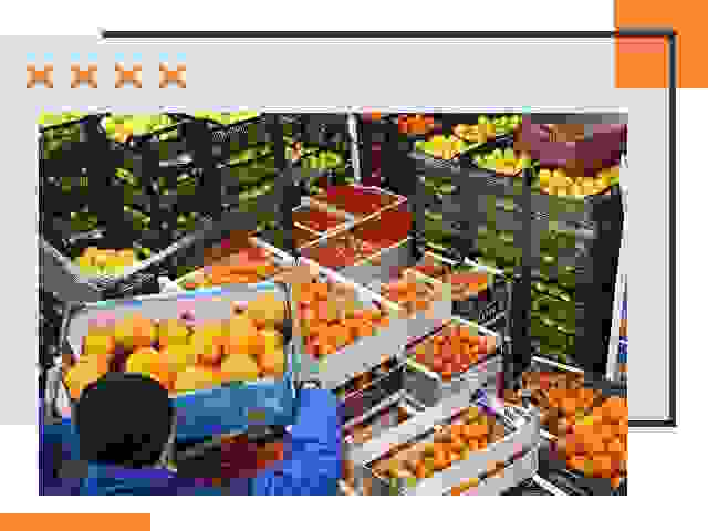 Перевозка скоропортящихся продуктов в Сибае
